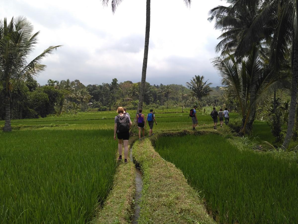 Jaya Homestay テテバトゥ エクステリア 写真