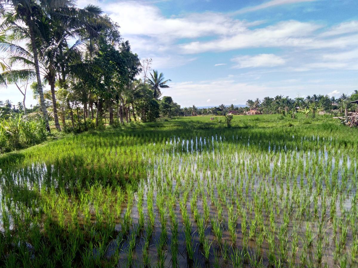 Jaya Homestay テテバトゥ エクステリア 写真