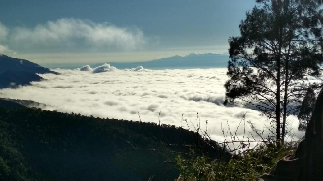Jaya Homestay テテバトゥ エクステリア 写真